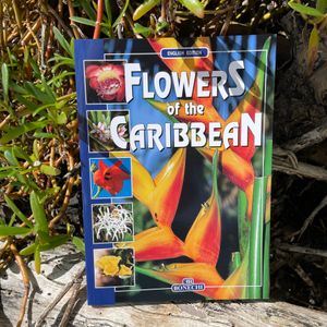 Flowers of the Caribbean.  By Bruno Foggi and Andrea Innocenti.