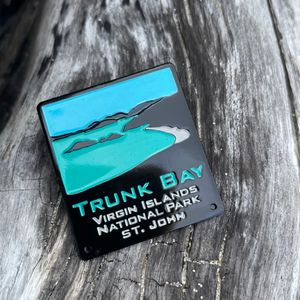 Trunk Bay Pin