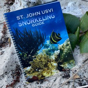 St John USVI Snorkeling Guide