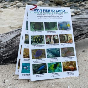 USVI Fish ID Card
