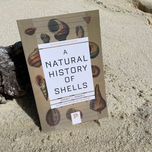 A Natural History of Shells. By Geerat J. Vermeij.
