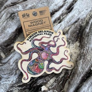 Graphic Octopus Wood Magnet