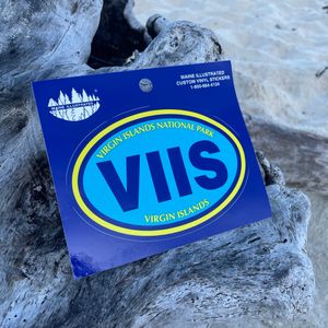 VIIS Bumper Sticker