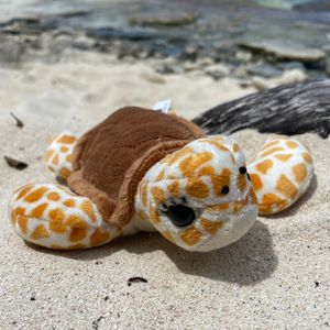 Small Loggerhead Sea Turtle Plush Toy