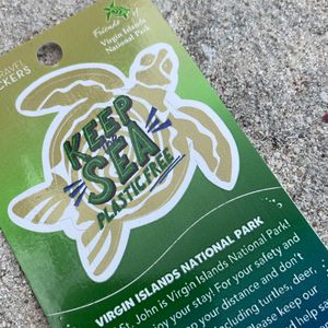 Mini Turtle Plastic Free Sticker