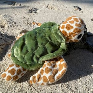 Green Sea Turtle Plush Toy