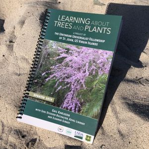 Learning About Trees And Plants. By Gail Karlsson.