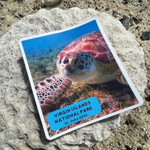 Virgin Islands National Park Green Sea Turtle Magnet