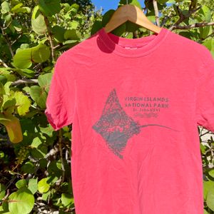 Eagle Ray Watermelon Adult T-Shirt