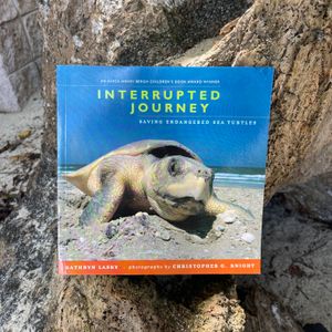 interrupted Journey, Saving Endangered Sea Turtles
