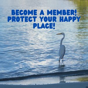 Be a Friend! Renew or become a member!