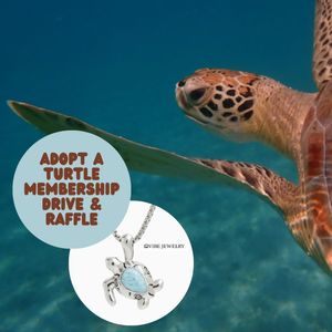 October is Adopt a Sea Turtle Membership Drive Month!
