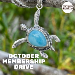 October is Adopt A Turtle Membership Month