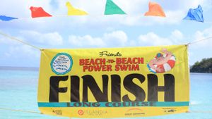 Buy Phentermine Online Comfort Express Arrival Service