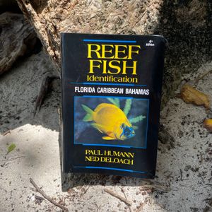 Reef Fish Identificatioin