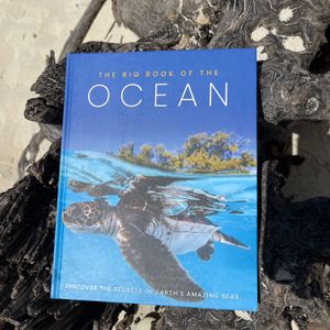 The Big Book of the Ocean