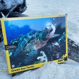 Green Sea Turtle Puzzle