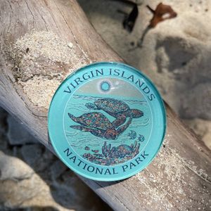 Vintage Sea Turtles Magnet