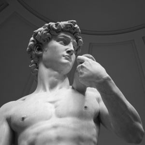 THE NINE LIVES OF DAVID