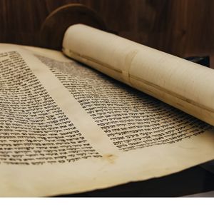 A PORTION OF PARSHA: Weekly Torah Insights