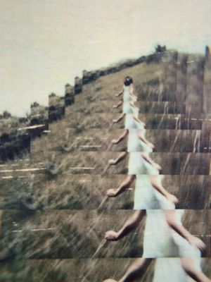 Echoes in Color- 3 Submissions