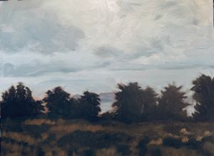 Cypress at Refugio II