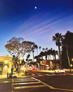 Linden Night Shining