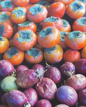 Persimmon Party