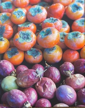 Persimmon Party