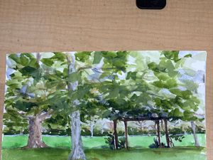 El Carro Park