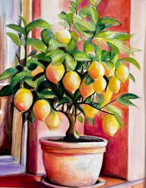 Lemon Tree in Pot on Patio