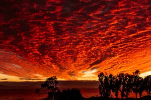 Sunset At Carpinteria Nature Preserve