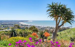 Dec 2: Ventura Botanical Garden Tour