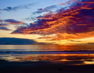 East Channel Sunset and Dog