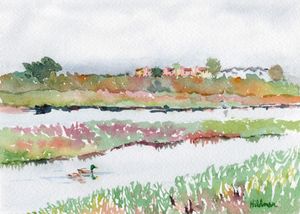 Salt Marsh Life, Carpinteria