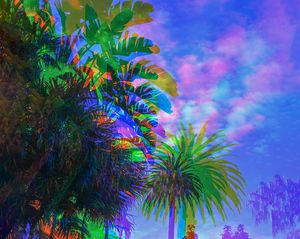 Color Symphony