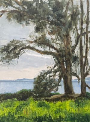 Eucalyptus Bluff