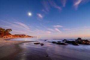 Jellybowl Moonbeam