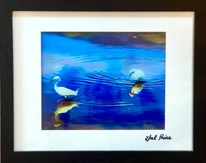 Heron Water Dance
