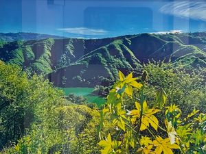 Little Casitas Valley