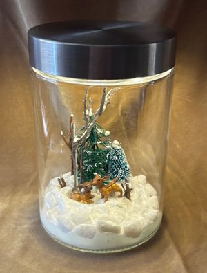 Dec 5: Winter Wonder Light-Up Jar