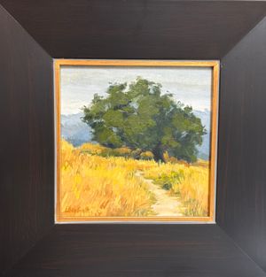 Old Oak at San Marcos