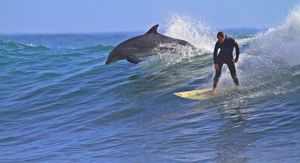 Oct 15: Rincon Surf Photography