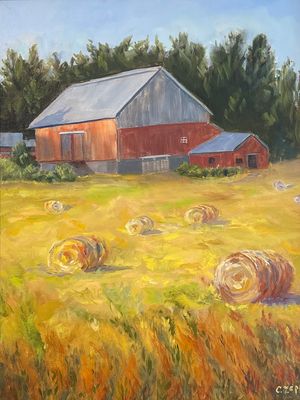 Field of Hay Bales