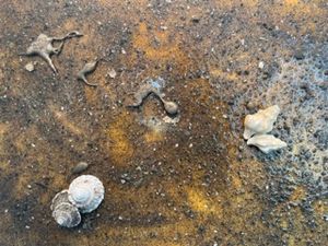 Golden Hour With Another