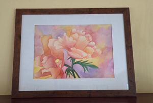 Apricot Dreams