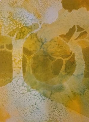 Walking through Stone Pines