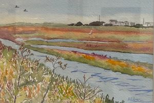 Carpinteria Salt Marsh
