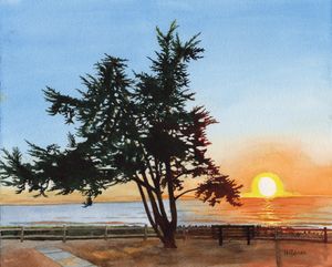 Last Light at Rincon