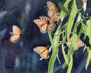 Monarch Refuge